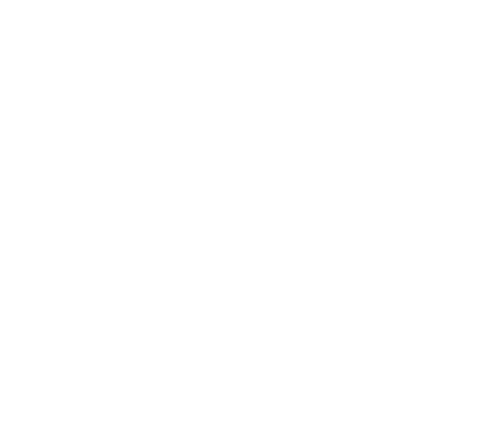 Retirement Income Maximization